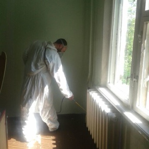 Уничтожить тараканов в квартире в Липецке