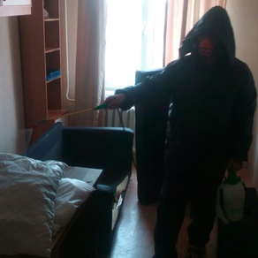 Уничтожение тараканов в квартире с гарантией в Липецке